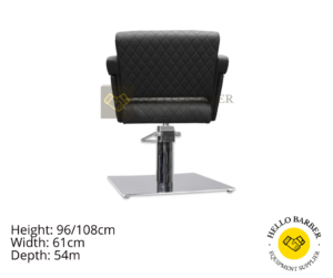 Styling Chair  (HB 305) - Image 4